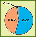a pie chart showing the percentage of mgco3 and caco3