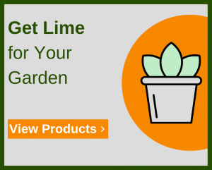get lime for your garden