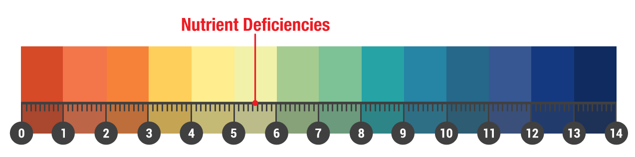 liming nutrient deficiencies