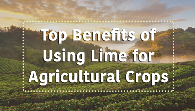 Ag lime for crops