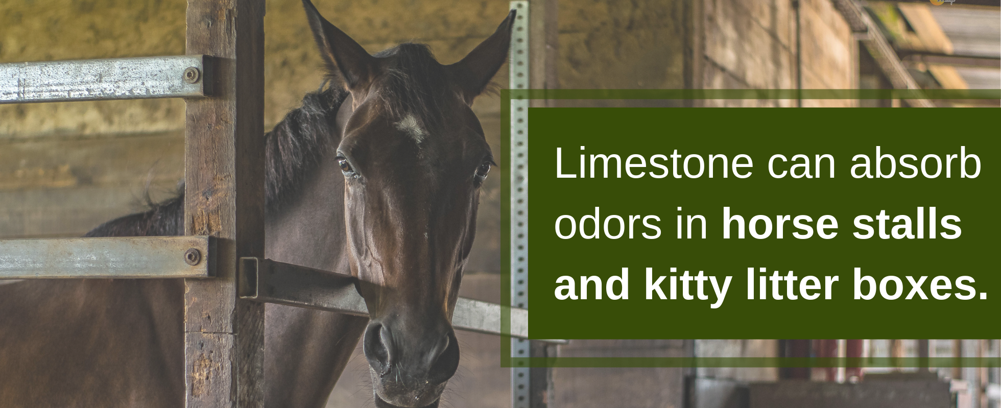limestone can absorb odors in horse stalls and kitty litter boxes