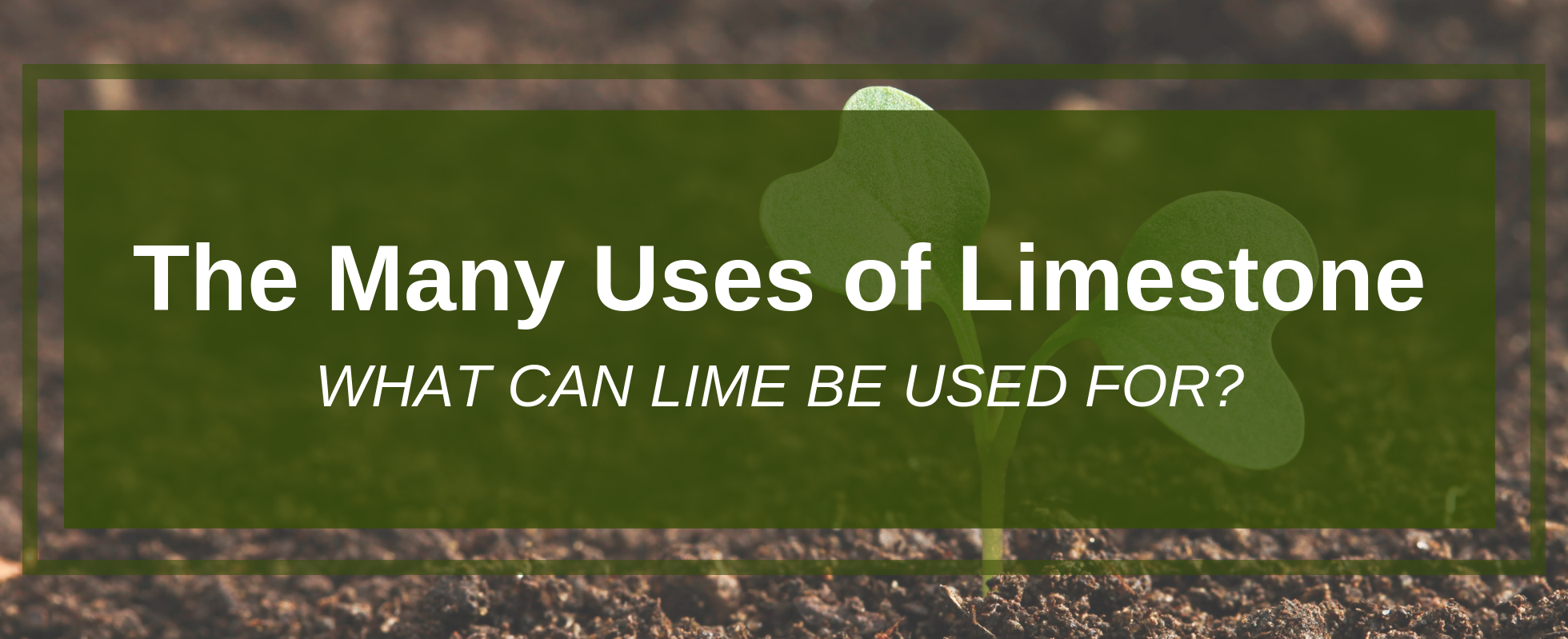 what is lime used for