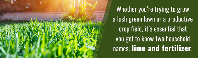 Can You Seed and Fertilize at the Same Time?: Best Practices Revealed