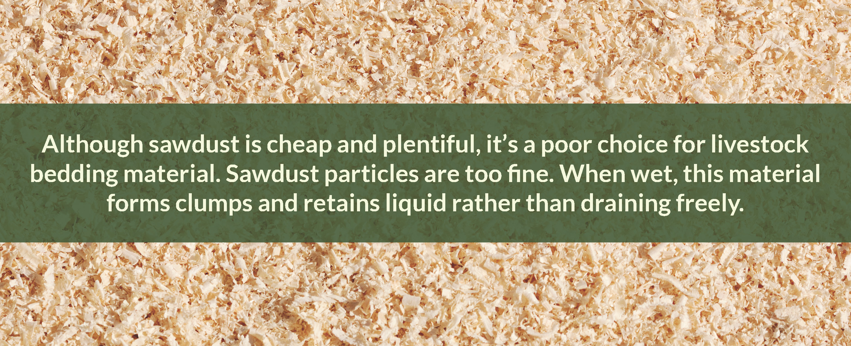 a piece of wood shavings that says sawdust is a poor choice for livestock bedding material