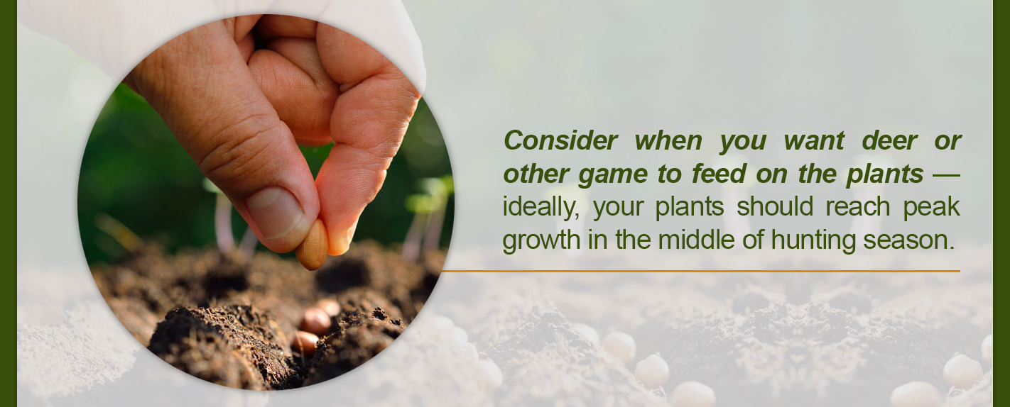 a person is planting a seed in the ground