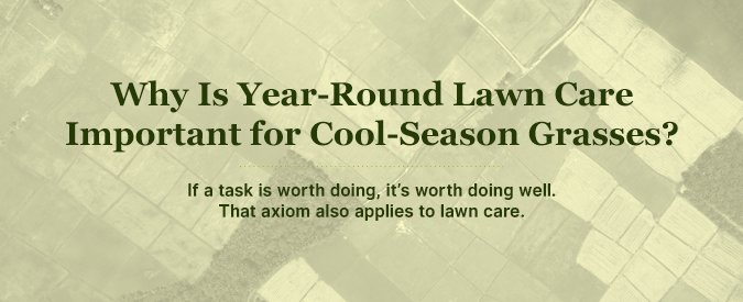 why year-round lawn care and maintenance is important for cool season grasses in the northeast, pa, nj, virginia, maryland and delaware