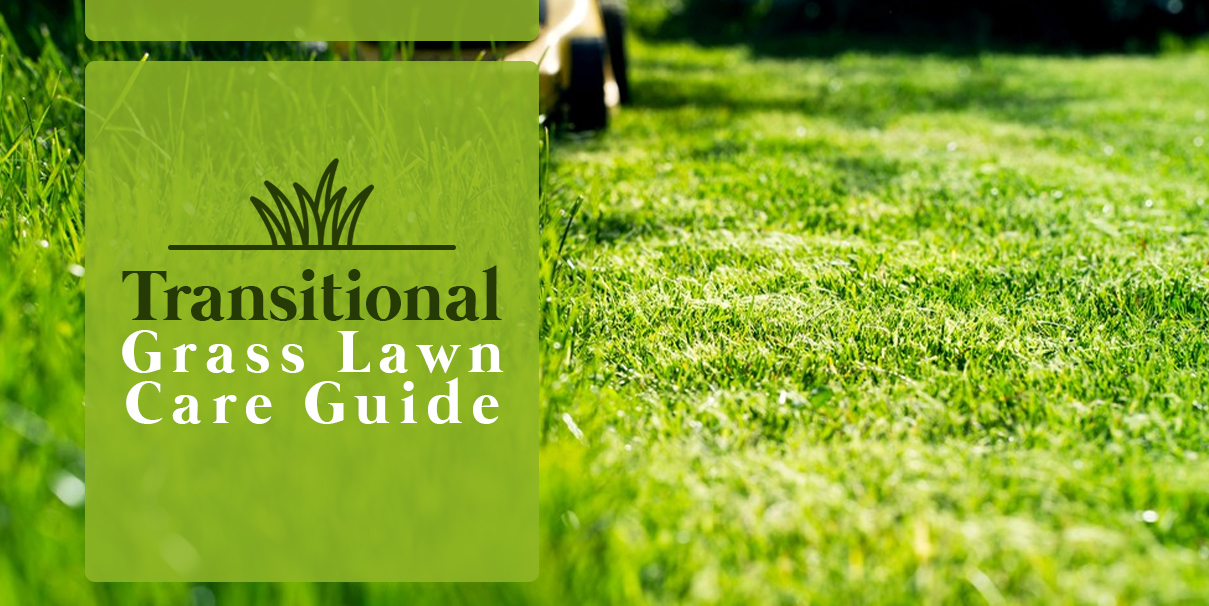 Lawn best sale care instructions