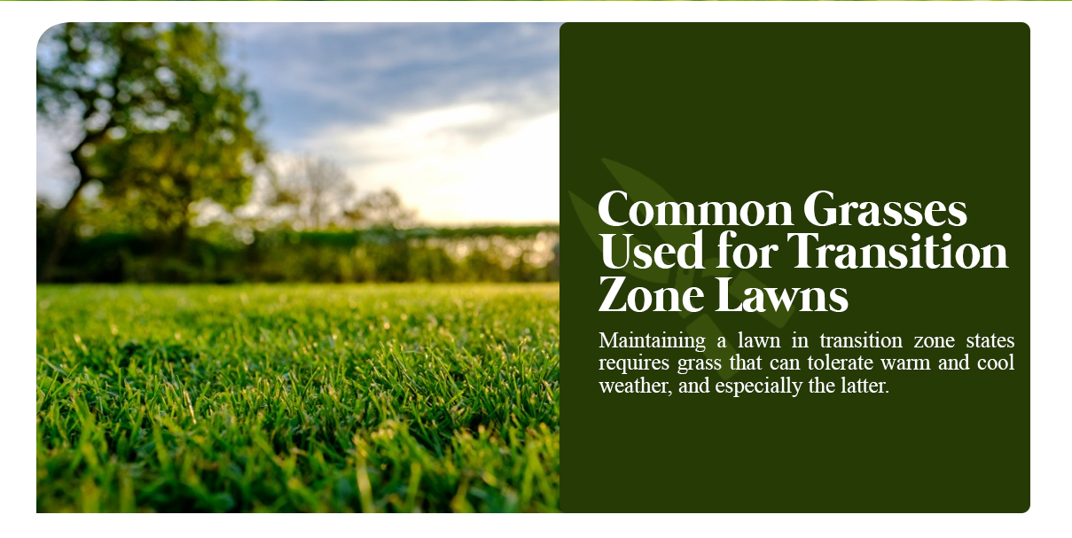 a green sign that says common grasses used for transition zone lawns