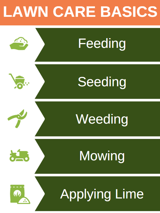 Lawn Care Basics