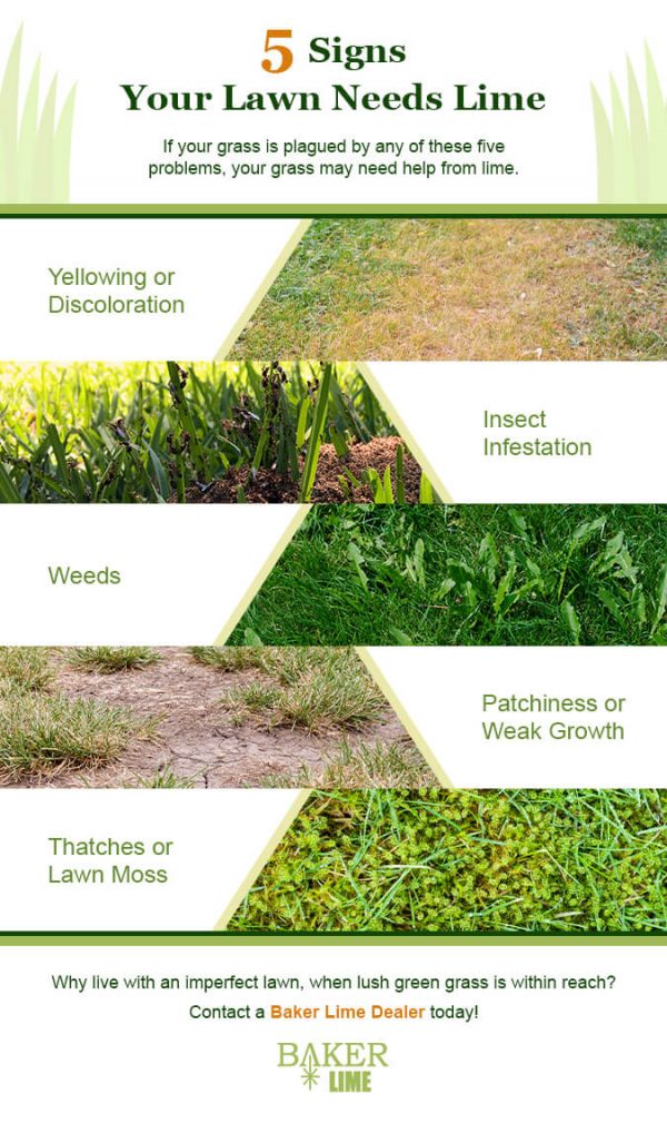 What You Need to Know About Lime Before Applying to Your Lawn