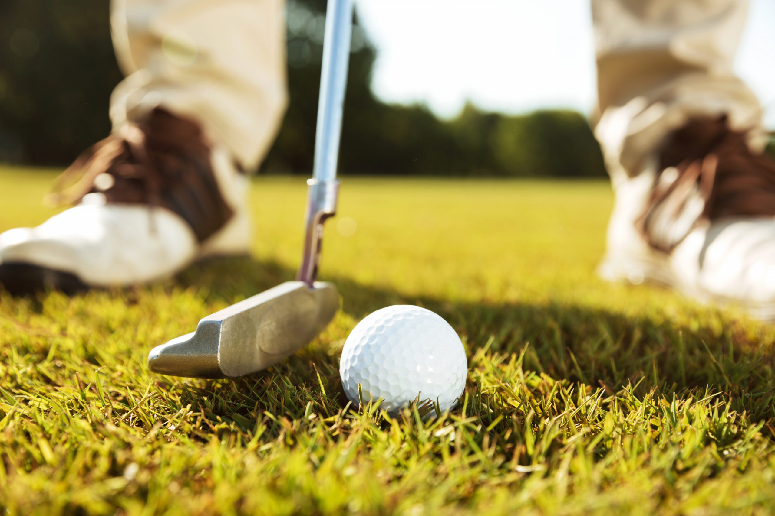 Golf ball on the golf course 