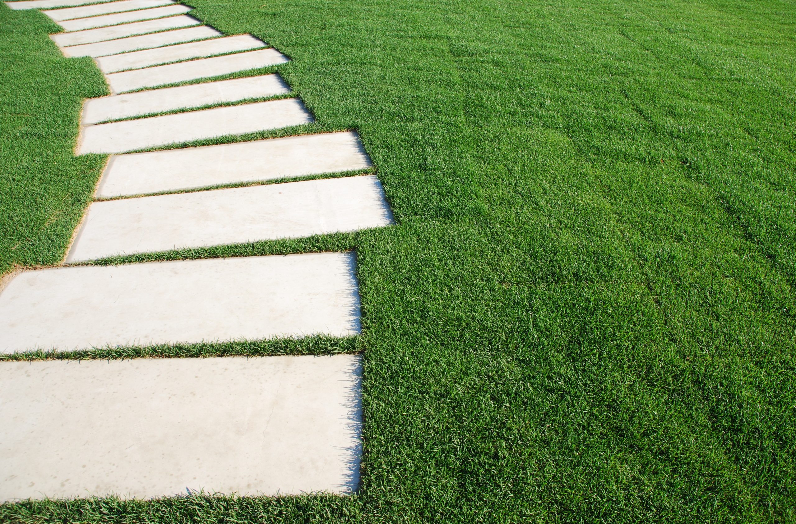 Turf Grass with Limestone Applied