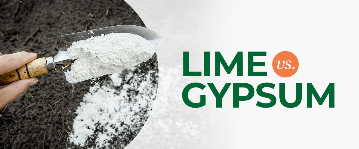 Lime Vs Gypsum | Should You Use Lime Or Gypsum? | Baker Lime