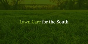 graphic of a lush lawn that says "Lawn Care for the South"