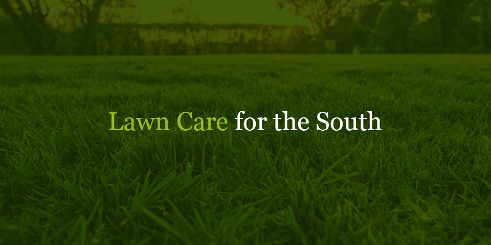 Lawn care for the south