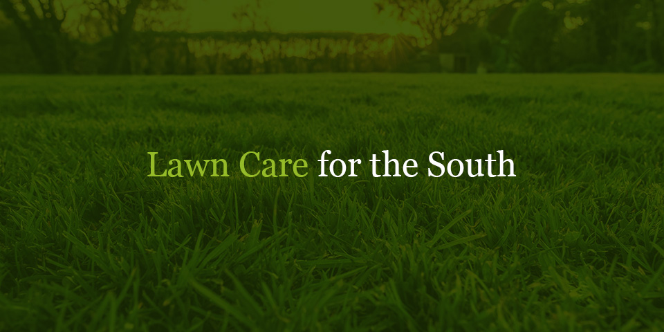 Lawn care for the south