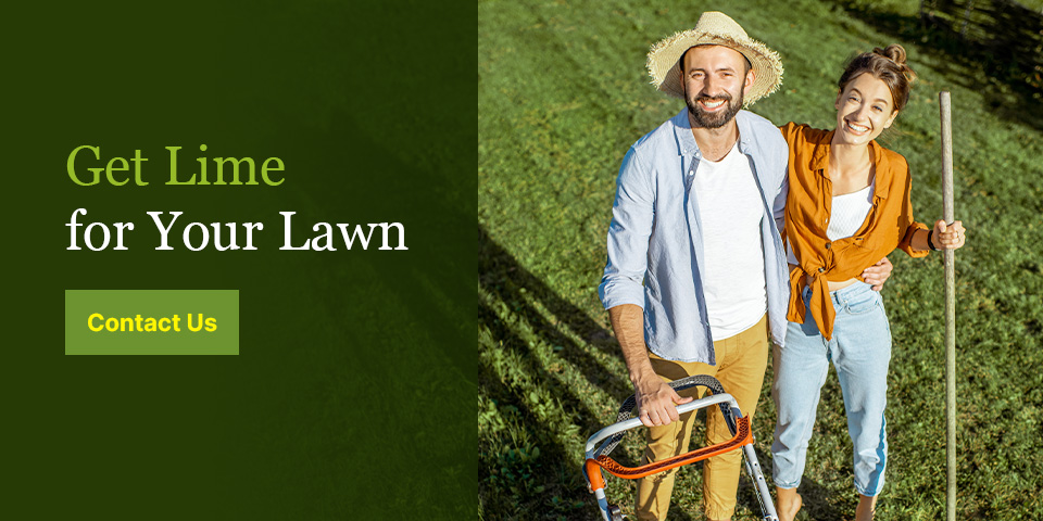 Get Lime for Your Lawn