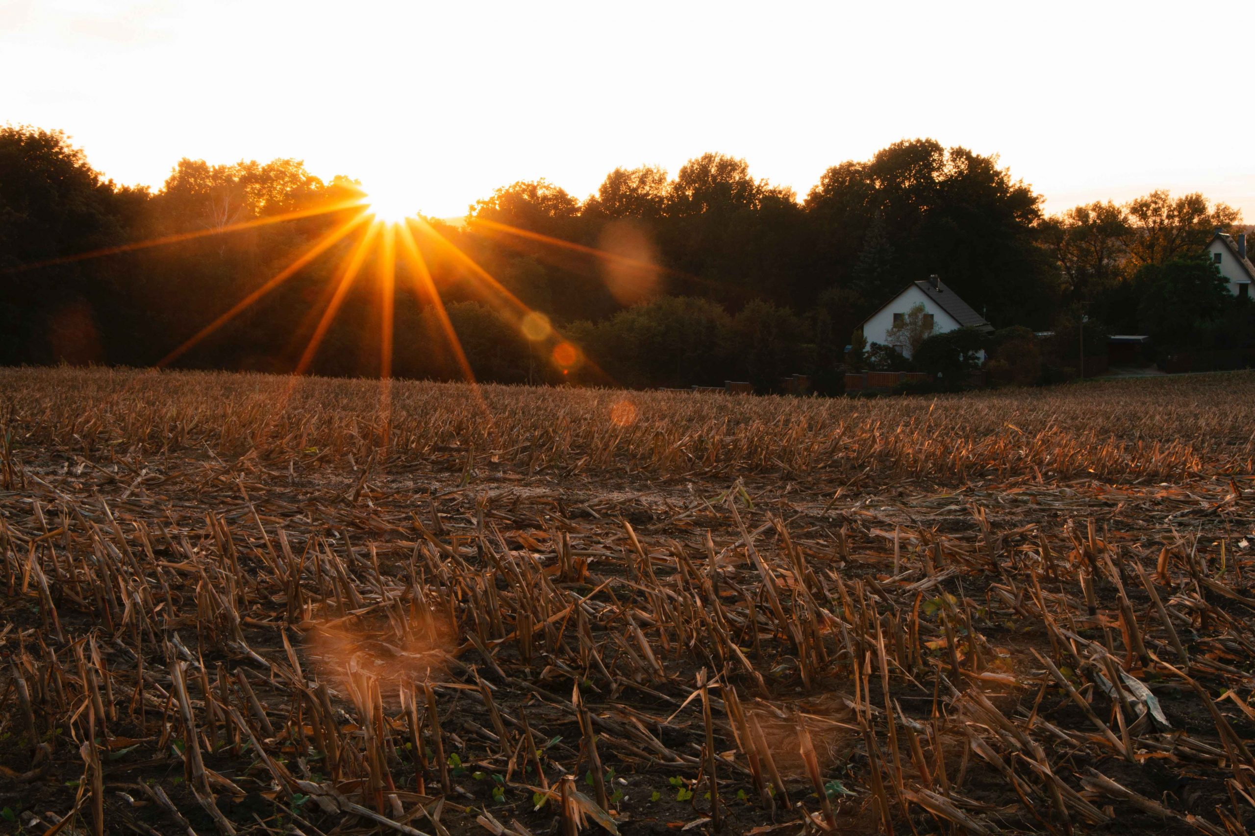 Farm in the Fall