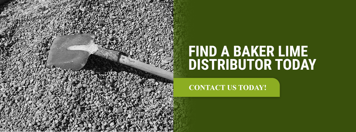 find a distributor